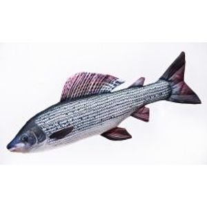 Gaby Plyšová Ryba Lipeň 65 cm
