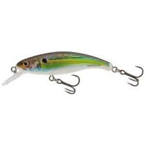 Salmo Wobler Slick Stick Floating Real Holographic Shad-6 cm